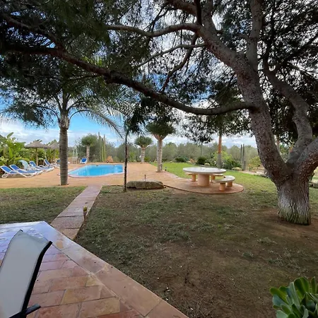 Olivos - Grupo Berna * Ses Salines (Mallorca)