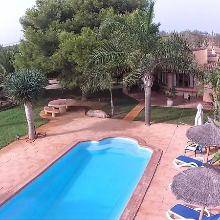 Olivos - Grupo Berna * Ses Salines (Mallorca)