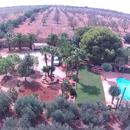 Olivos - Grupo Berna * Ses Salines (Mallorca)